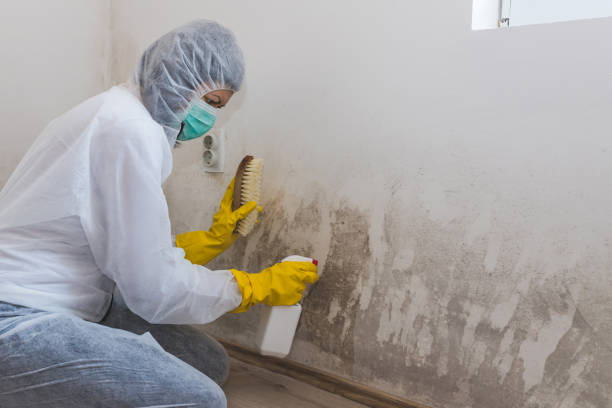 Best Airborne Mold Testing  in Brookdale, NJ