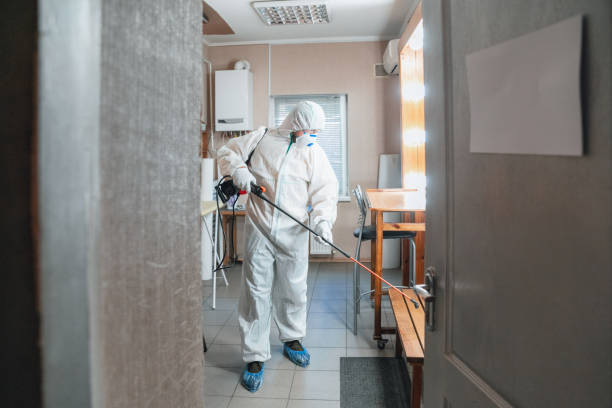 Best Basement Mold Removal  in Brookdale, NJ
