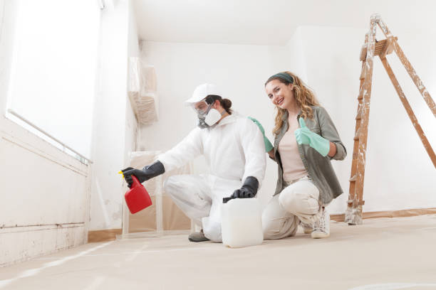 Best Real Estate Mold Inspection  in Brookdale, NJ